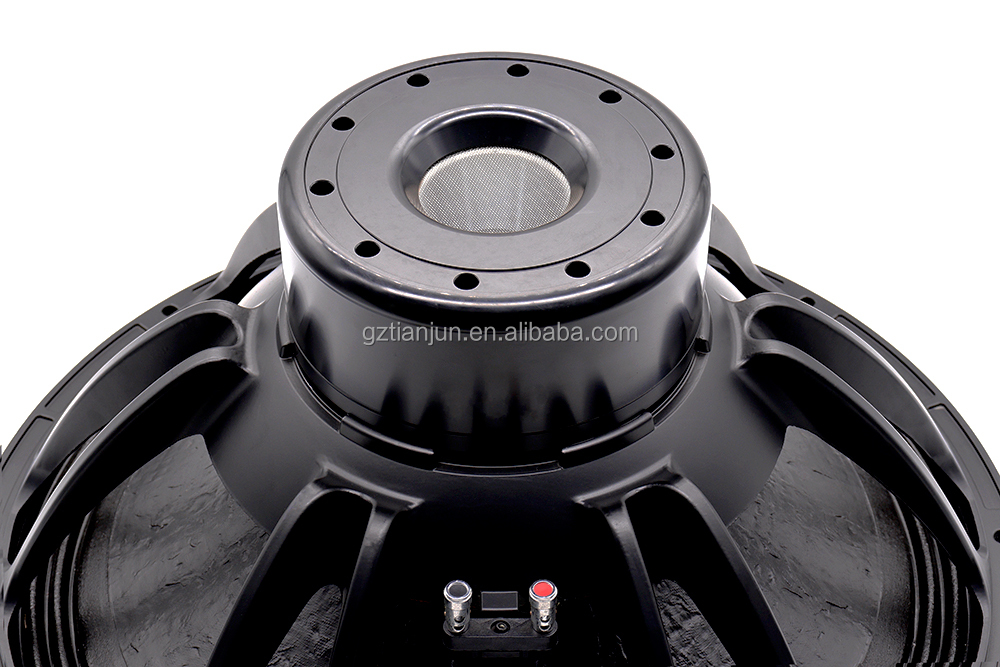 21'' Professional Audio System - Speakers 评论和价格