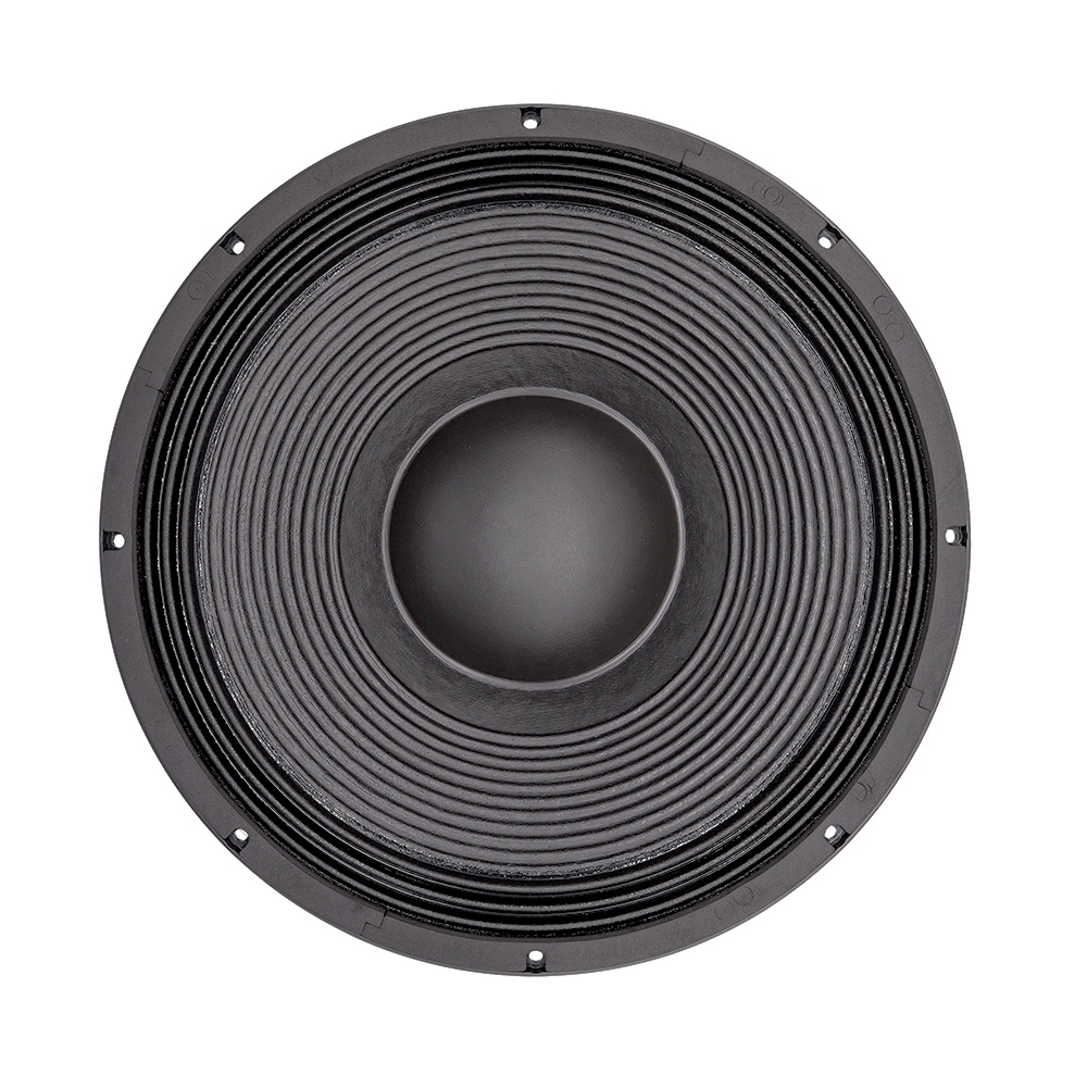 21'' Professional Audio System - Speakers 评论和价格
