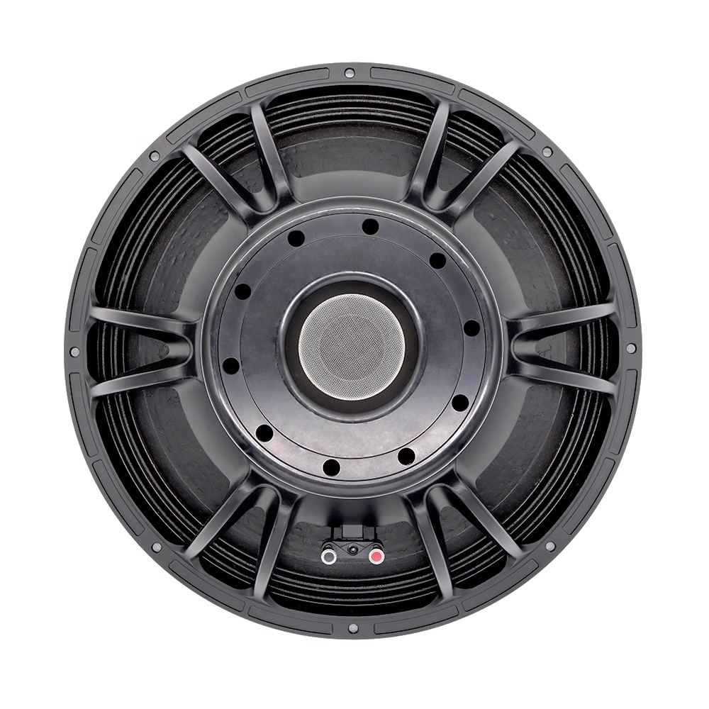 21'' Professional Audio System - Speakers 评论和价格
